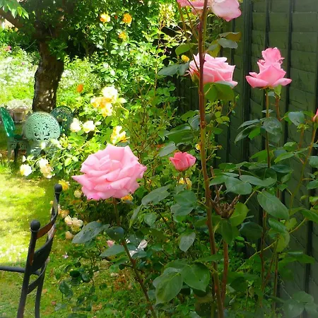 Private In Home-stay Leeds M1 M62 Homestay